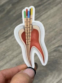 Set of Teeth Obsessed RCT Dental Stickers featuring fun tooth designs for dental-themed crafts and decorations.