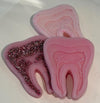 Nerve Wax Melts