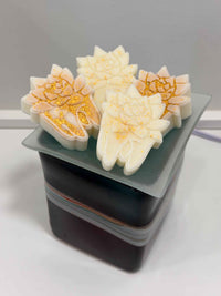 Teeth Obsessed succulent tooth-shaped soy wax melts, freshies or vents, with a bikini bottom design for air freshening and decor.