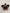 Peach-scented Pug Tooth Dental Freshener Freshies vent tart by Teeth Obsessed, designed for dog dental breath freshening.