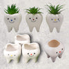 Set of three smiling tooth vases by Teeth Obsessed filled with succulents, showcasing quirky dental-themed planters.